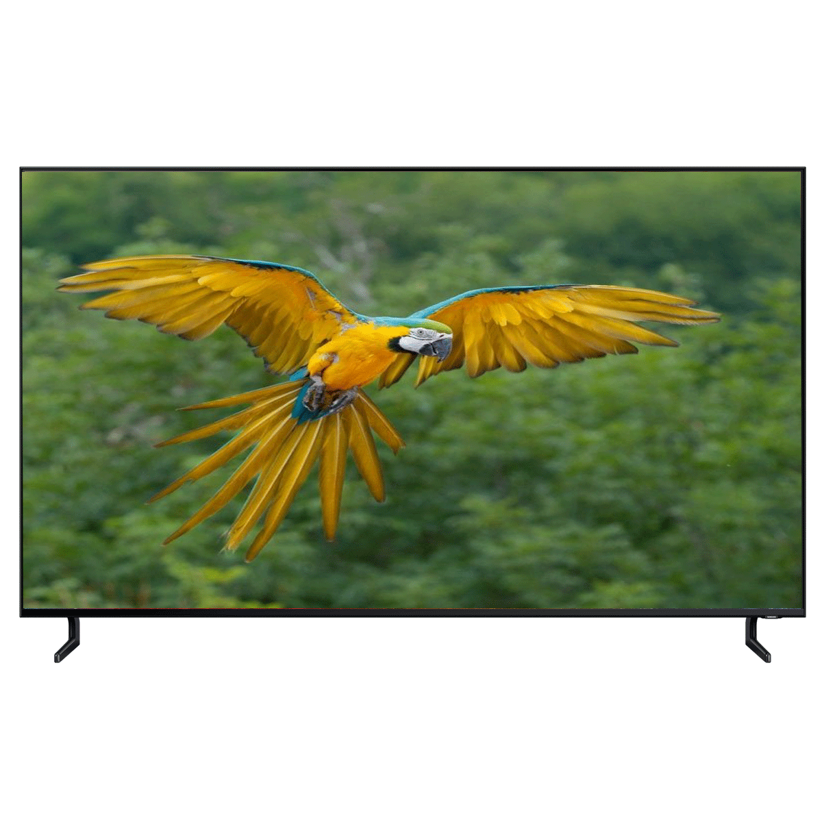 Qled Tivi Samsung 8K 82 Inch QA82Q900R