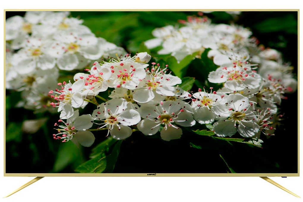 Smart Tivi Asanzo 4K 50 inch 50AU6100