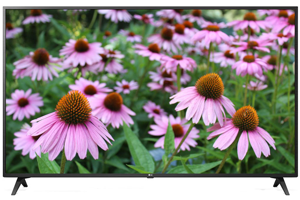 Smart Tivi LG 4K 49 inch 49UN7190PTA - model 2020