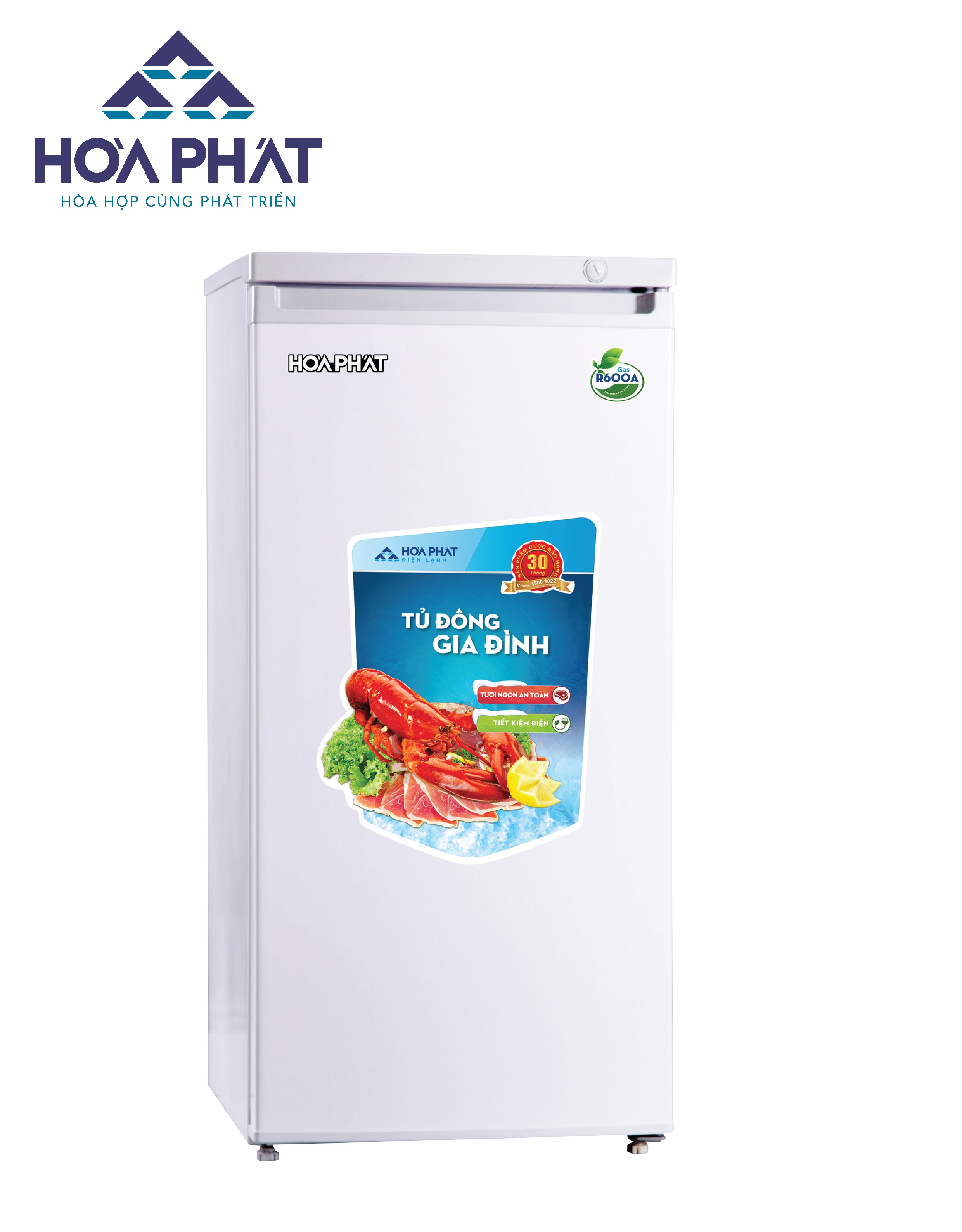 Tủ đông đứng Hòa Phát 152 lít HCF-166S