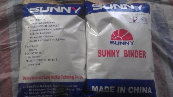 SUNNY BINDER