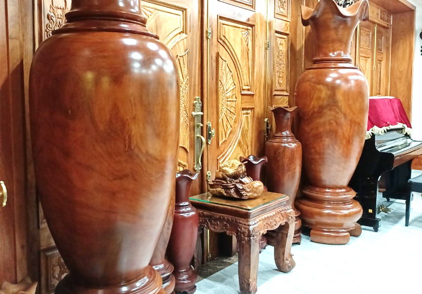 Bộ lục bình nhà chú Sơn - Hóc Môn