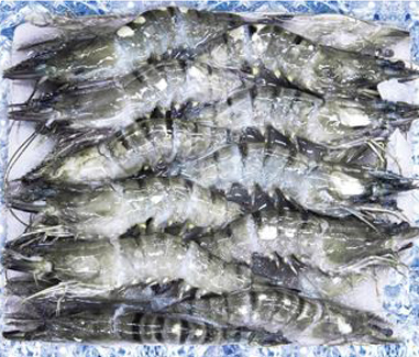 Shrimp products