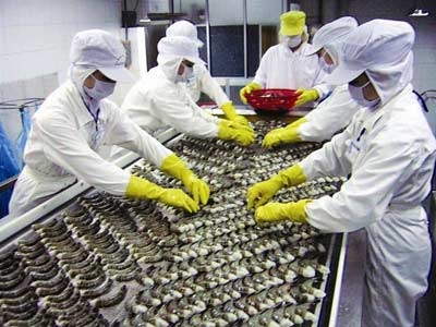 Restore live prawn exports to the Chinese market