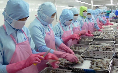 Shrimp exports to the US market flourishes