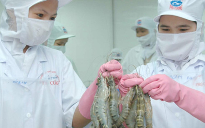 Multiple signals prospects for shrimp exports