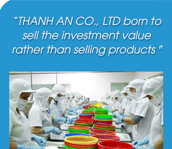 EXPORTING MANY KIND OF FISH - FISH PRODUCTS