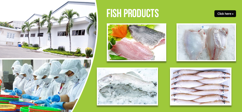 EXPORTING MANY KIND OF FISH - FISH PRODUCTS