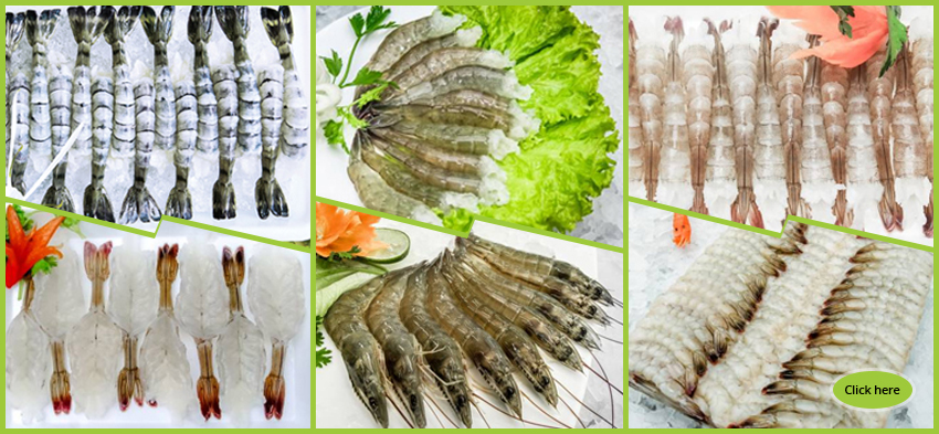  EXPORTING  SHRIMP AND SHRIMP PRODUCTS 