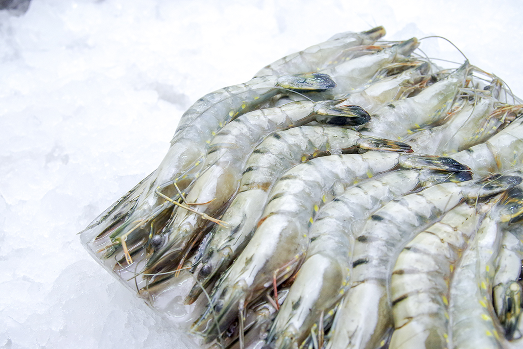 Black Tiger Shrimp (HOSO)