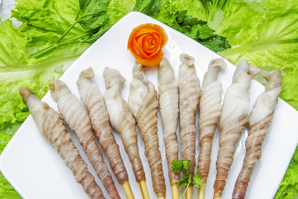Poulp Squid