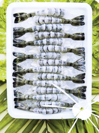 Black Tiger Shrimp (Raw PDTO)