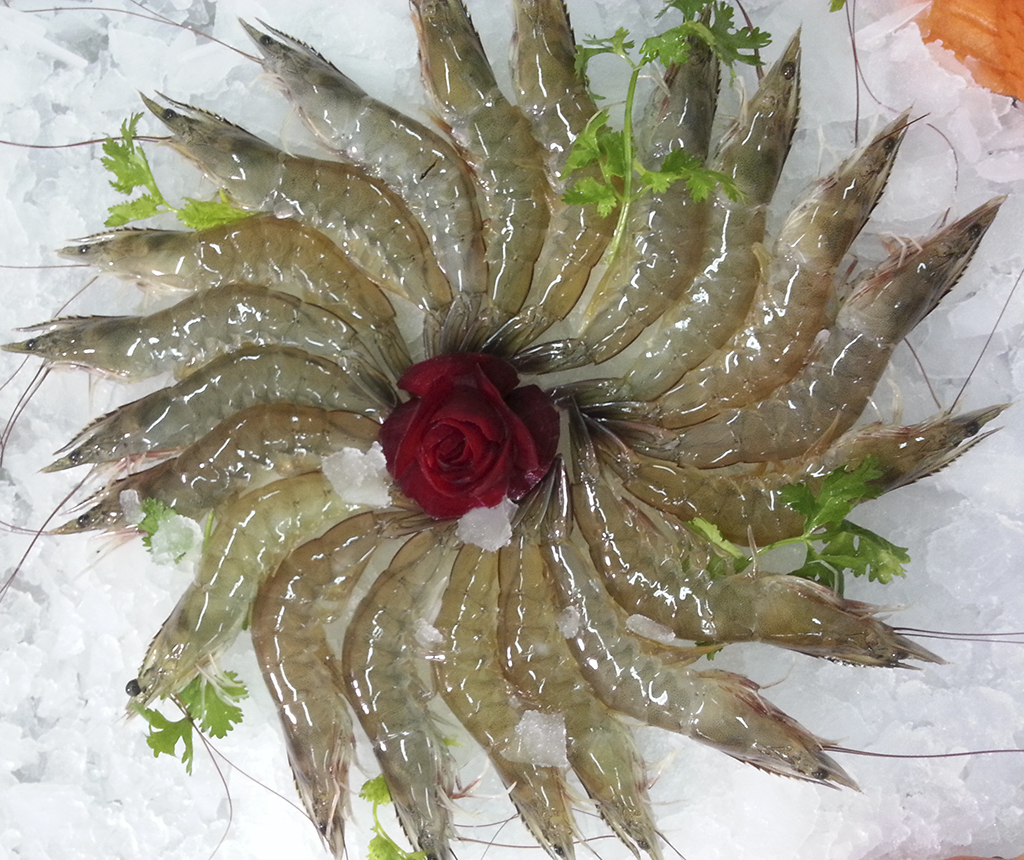Vannamei Shrimp (HOSO)