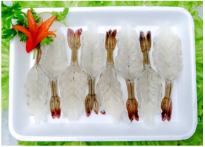 Vannamei Shrimp (Butterfly-PTO)