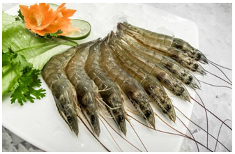 Vannamei Shrimp (HOSO)