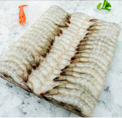 Vannamei Shrimp (HLSO)