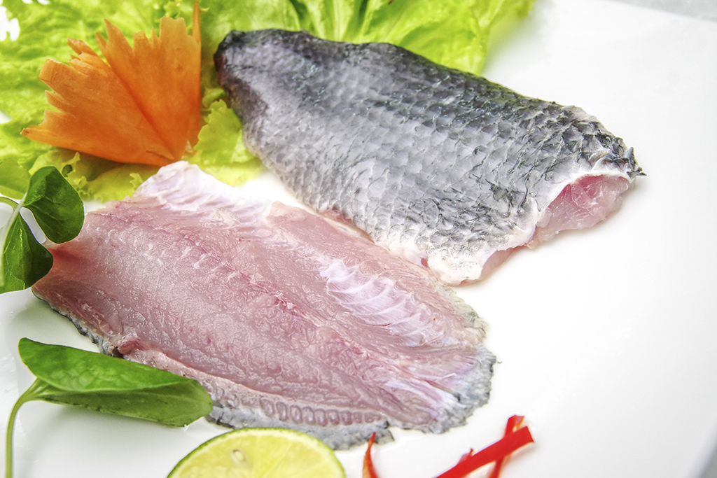 Tilapia