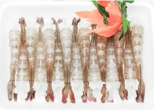 Vannamei Shrimp (PDTO)