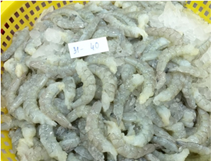 Vannamei Shrimp (PD)