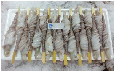Poulq Squid