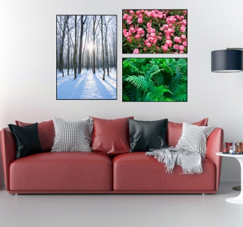 Bộ 3 tranh canvas Ánh Nắng Mùa Đông