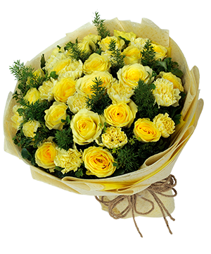 Sự Quan Tâm 2