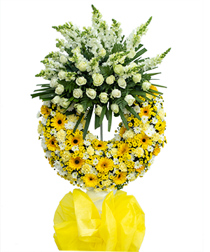 Hai thế giới 2