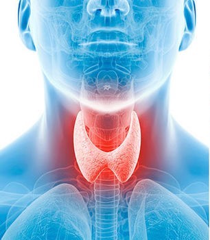 Sức khỏe tuyến giáp