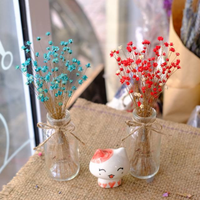 Lọ đựng trang trí 