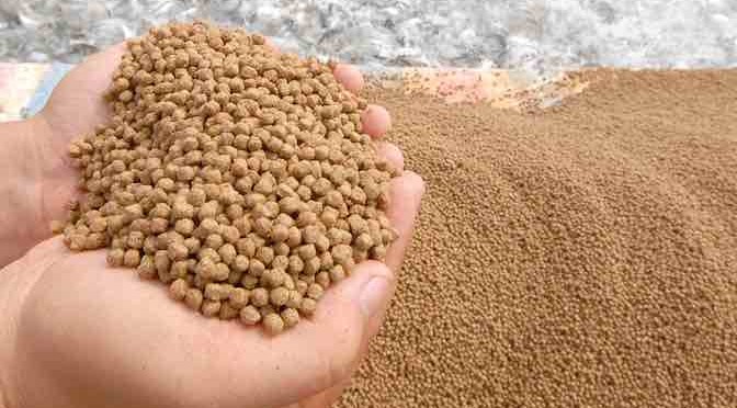 Nên hay không việc sử dụng bột cá trong khẩu phần của gia cầm?