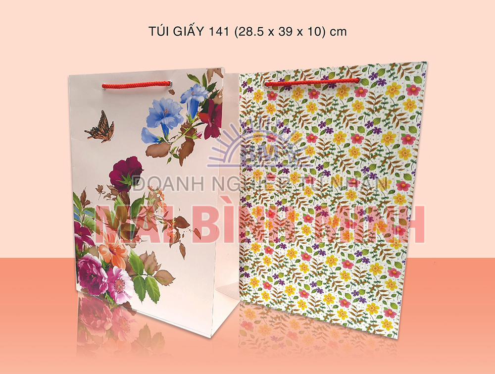 Túi giấy 141