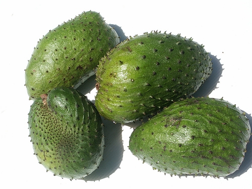 Real damage panacea to cure cancer soursop