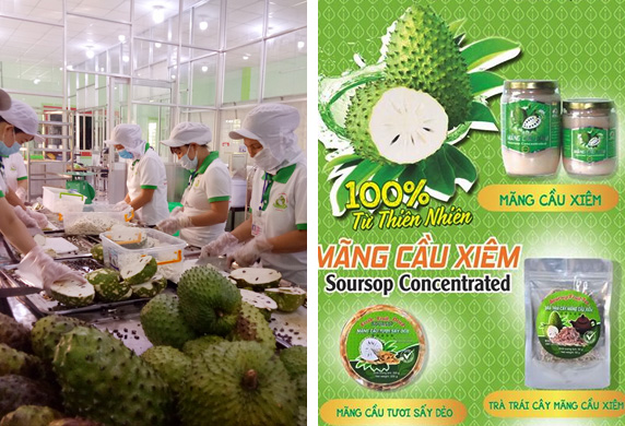 Giới thiệu về chúng tôi