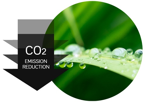 Hướng dẫn chơi thủy sinh không cần CO2