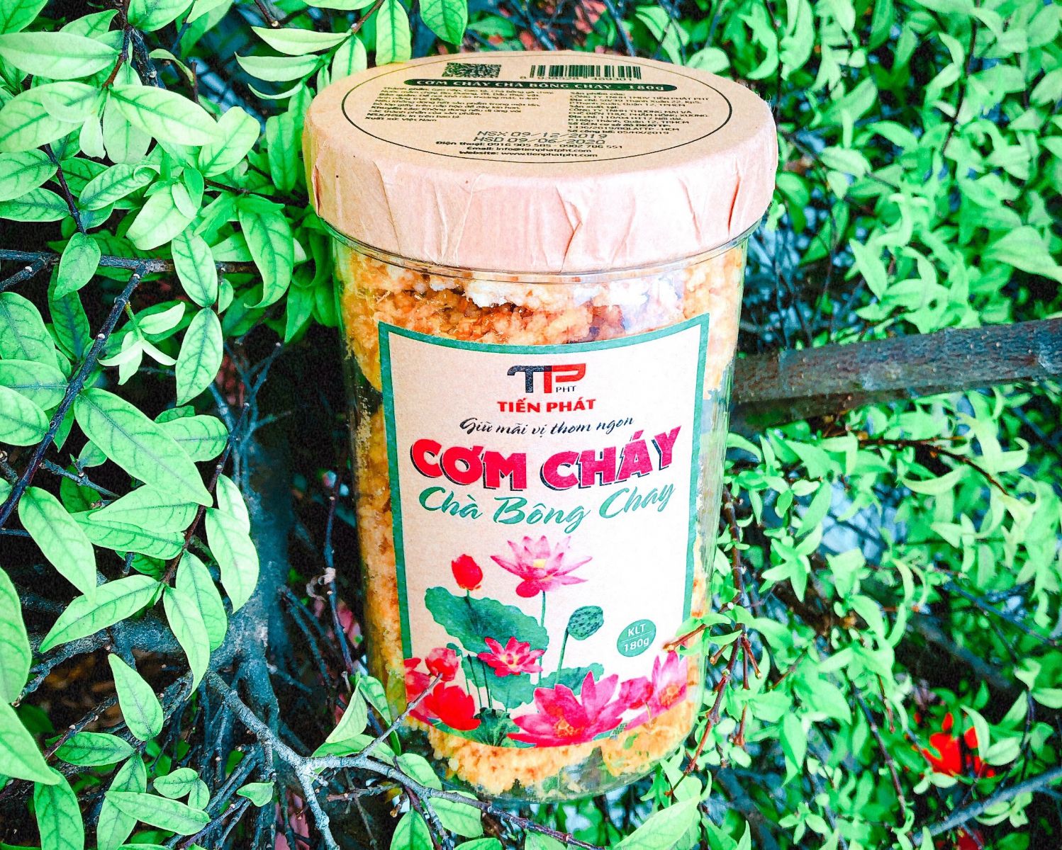 Cơm cháy chà bông chay Tiến Phát