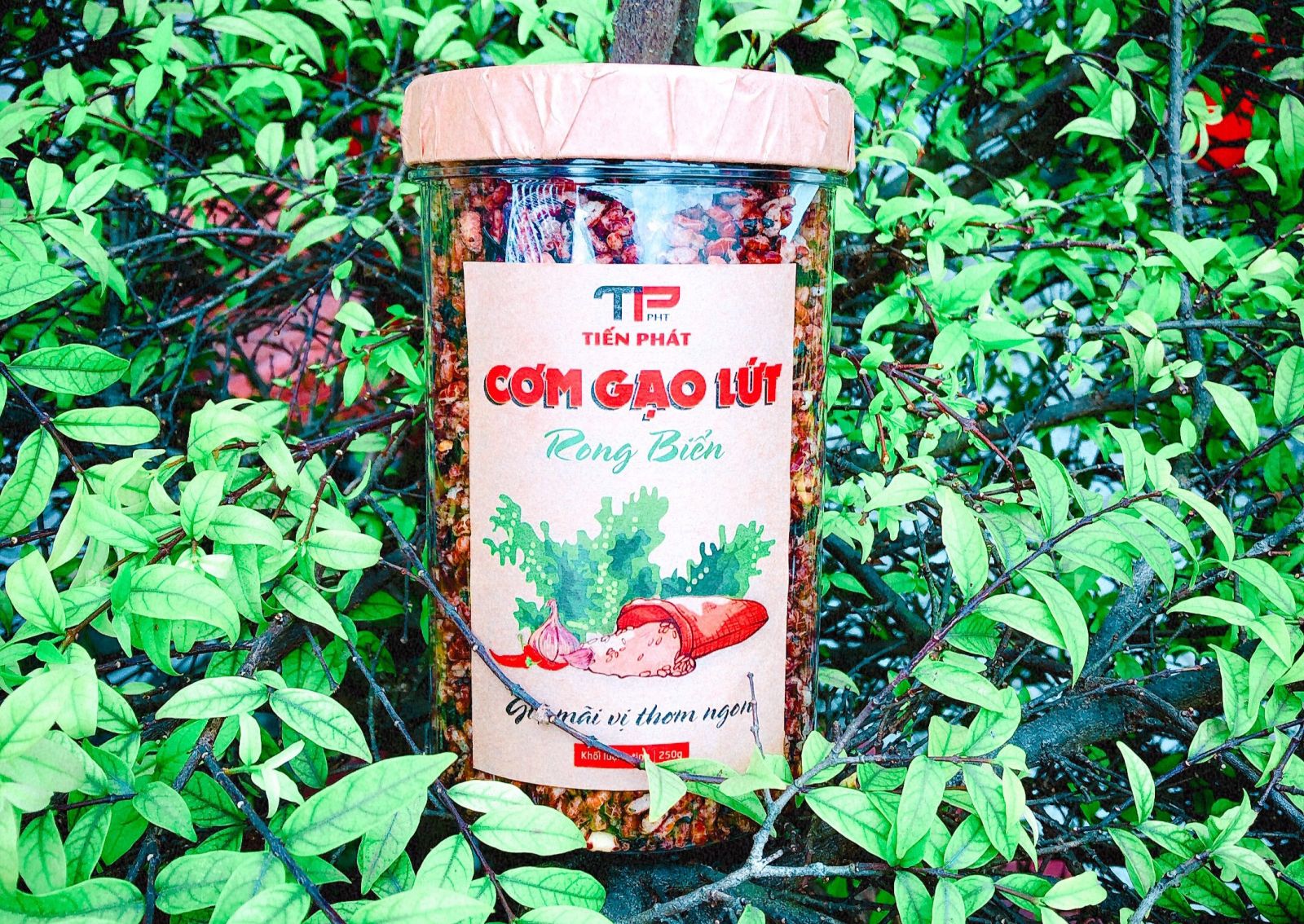 Cơm gạo lứt sấy rong biển