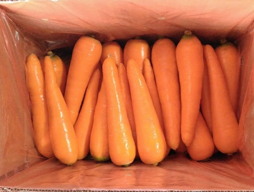 Carrot