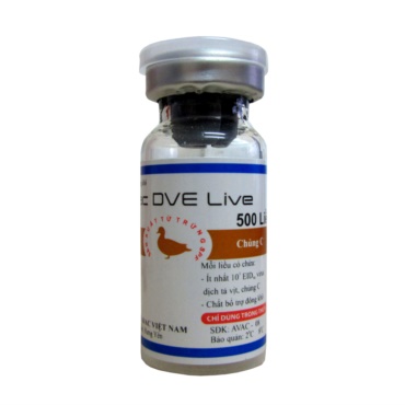  AVAC DVE LIVE