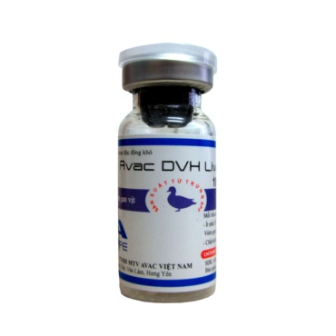  AVAC DVH LIVE (Viêm gan vịt Serotype I)