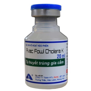 Avac Fowl Cholera K