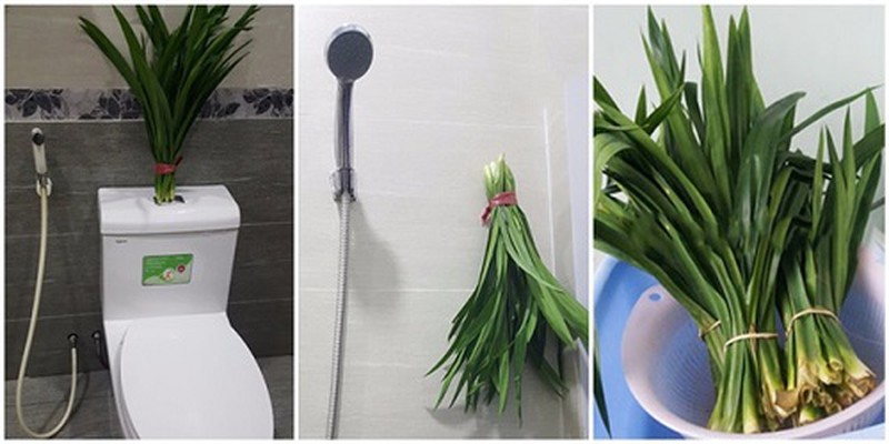 Nhà vệ sinh có mùi cống hướng dẫn giải quyết triệt để nhất
