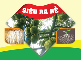 Sản phẩm xô