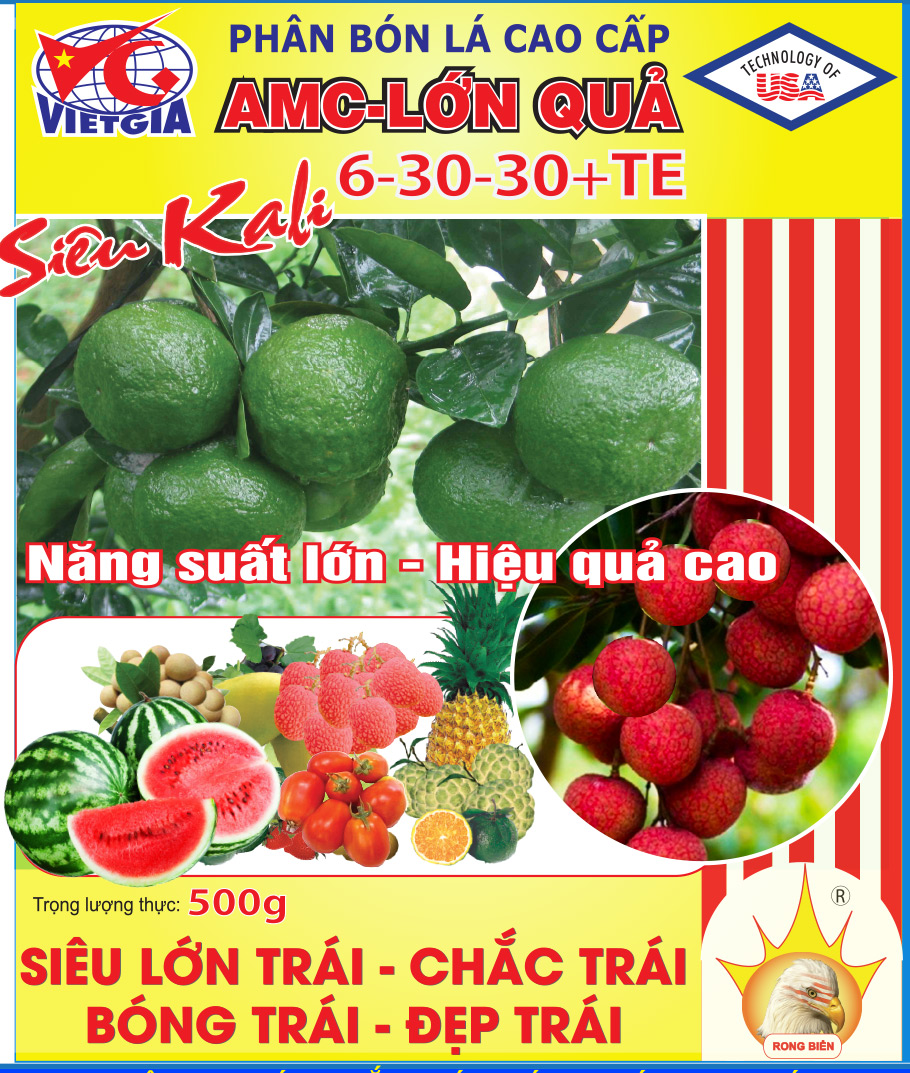 AMC - LỚN QUẢ (6-30-30 +TE)