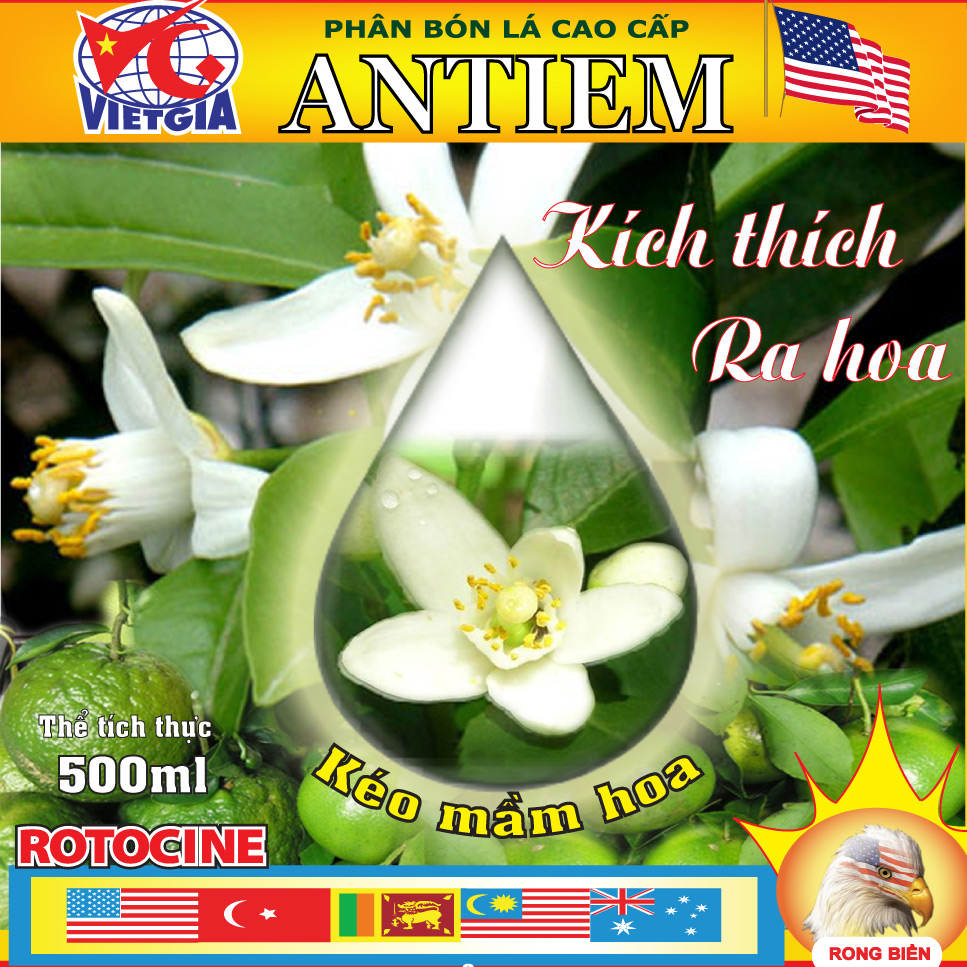 ANTIEM (Kéo mầm hoa)