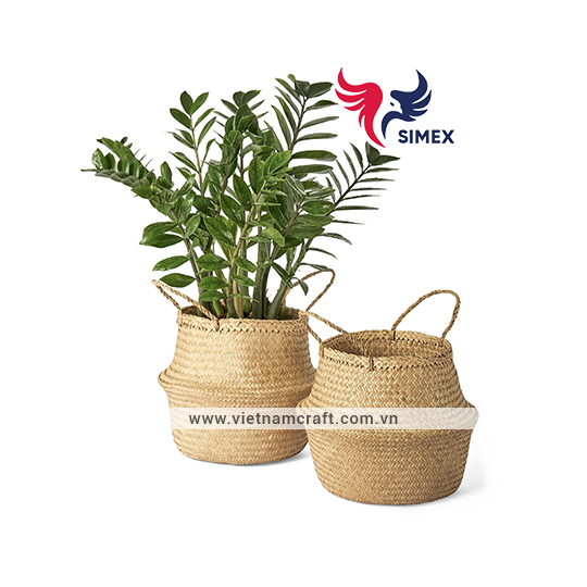 Vases, Pots & Planters 02
