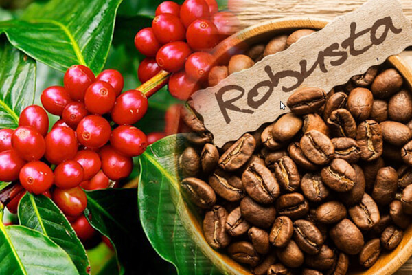 The opportunity for Vietnamese agricultural products to enter the German market is huge