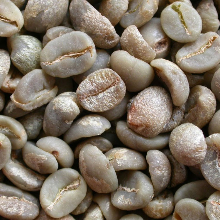 ARABICA COFFEE SCR 13 WASHED