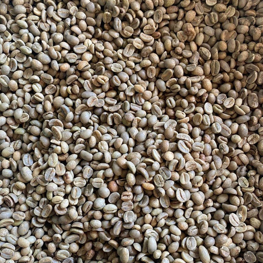 ARABICA COFFEE SCR 16 UNWASHED