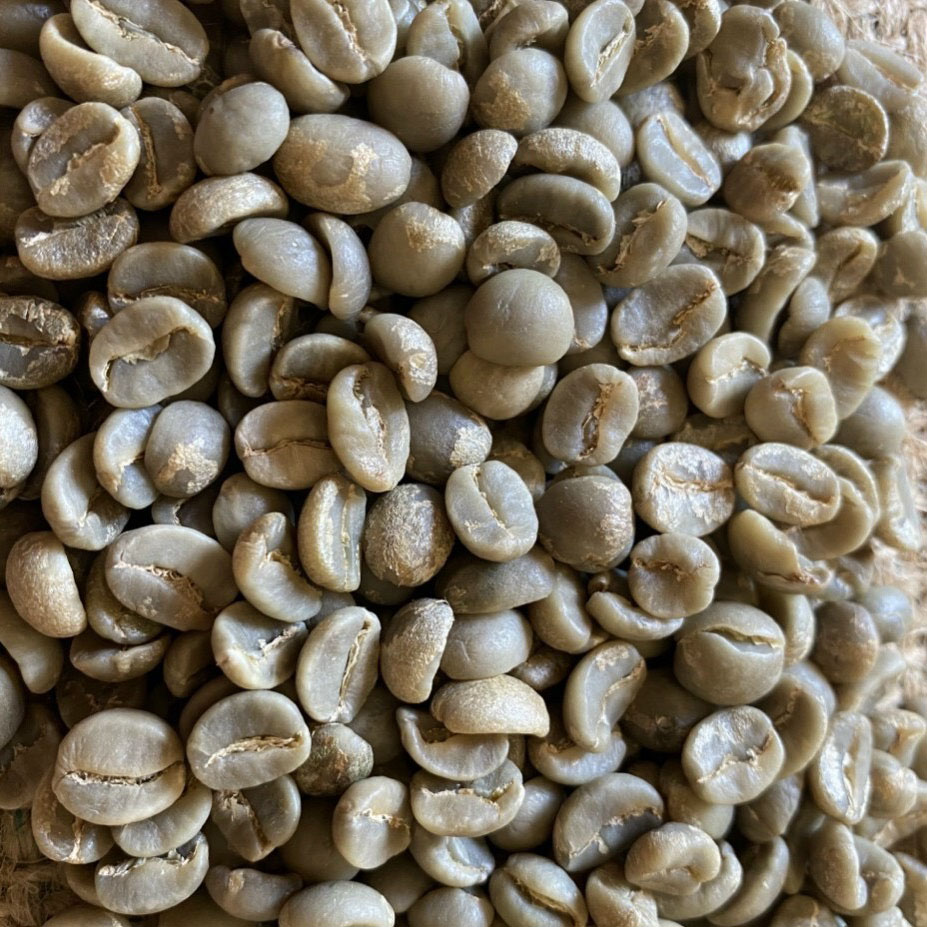 ARABICA COFFEE SCR 16 WASHED