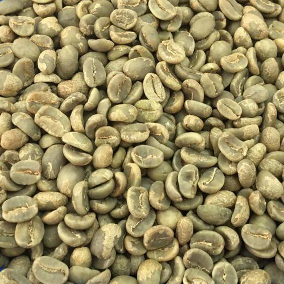 ARABICA COFFEE SCR 18 WASHED